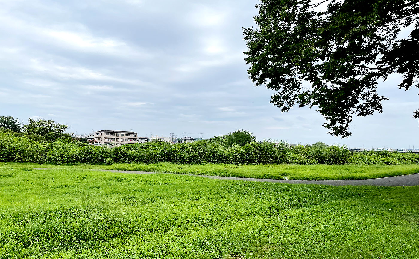 つるまき公園