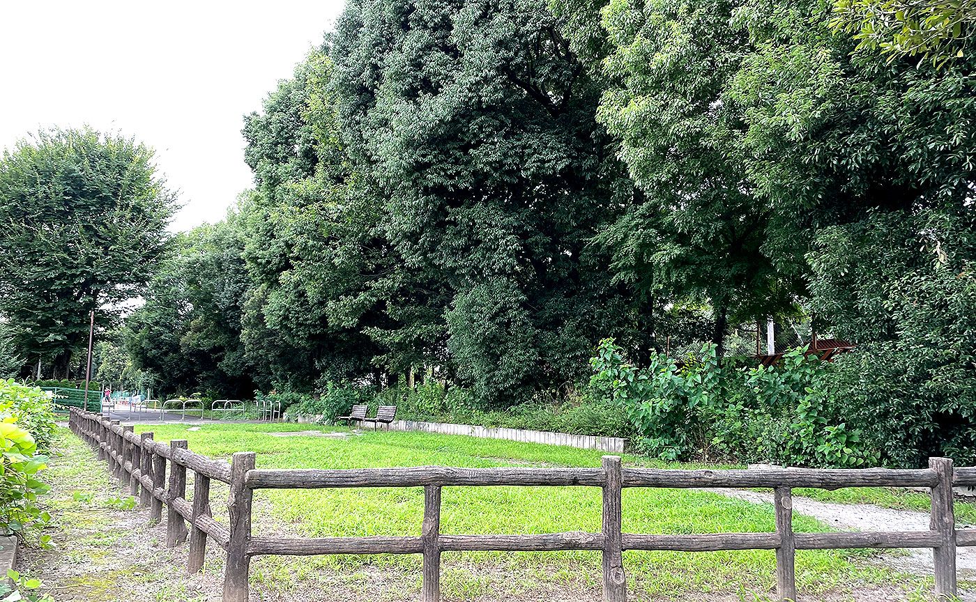 つるまき公園