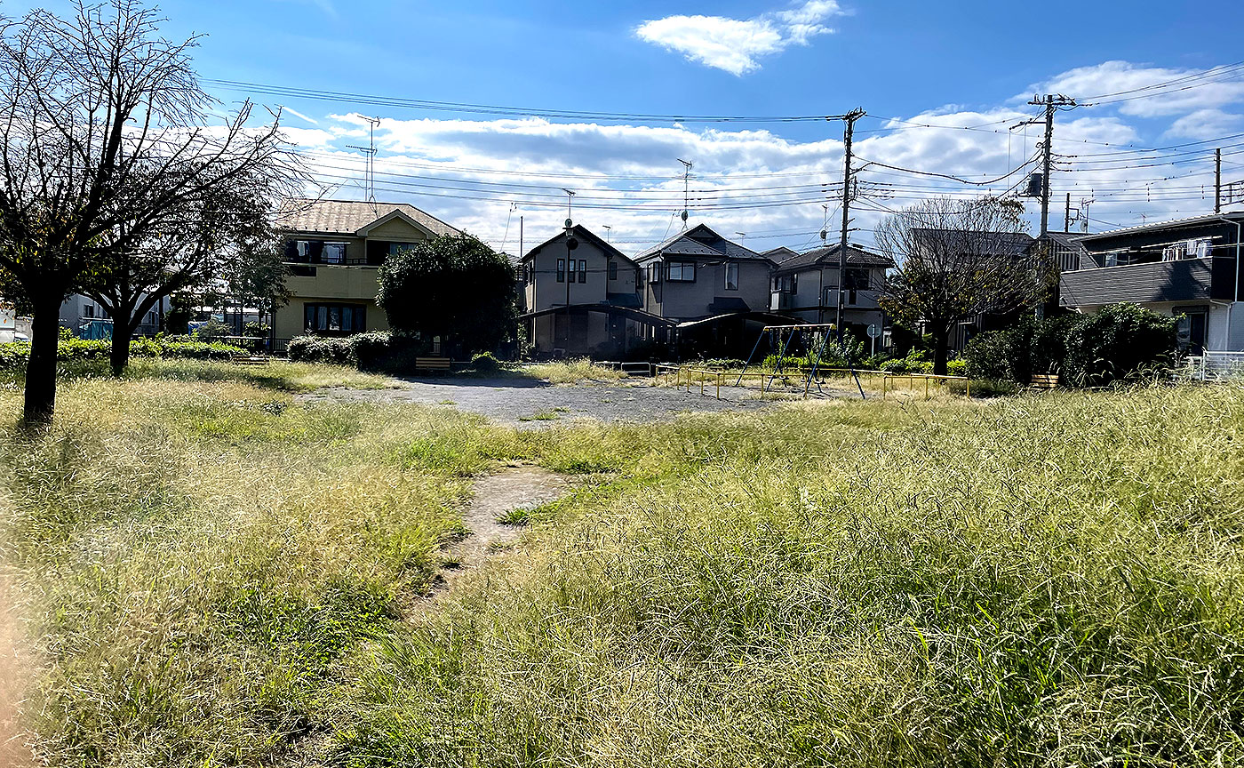 一本松公園