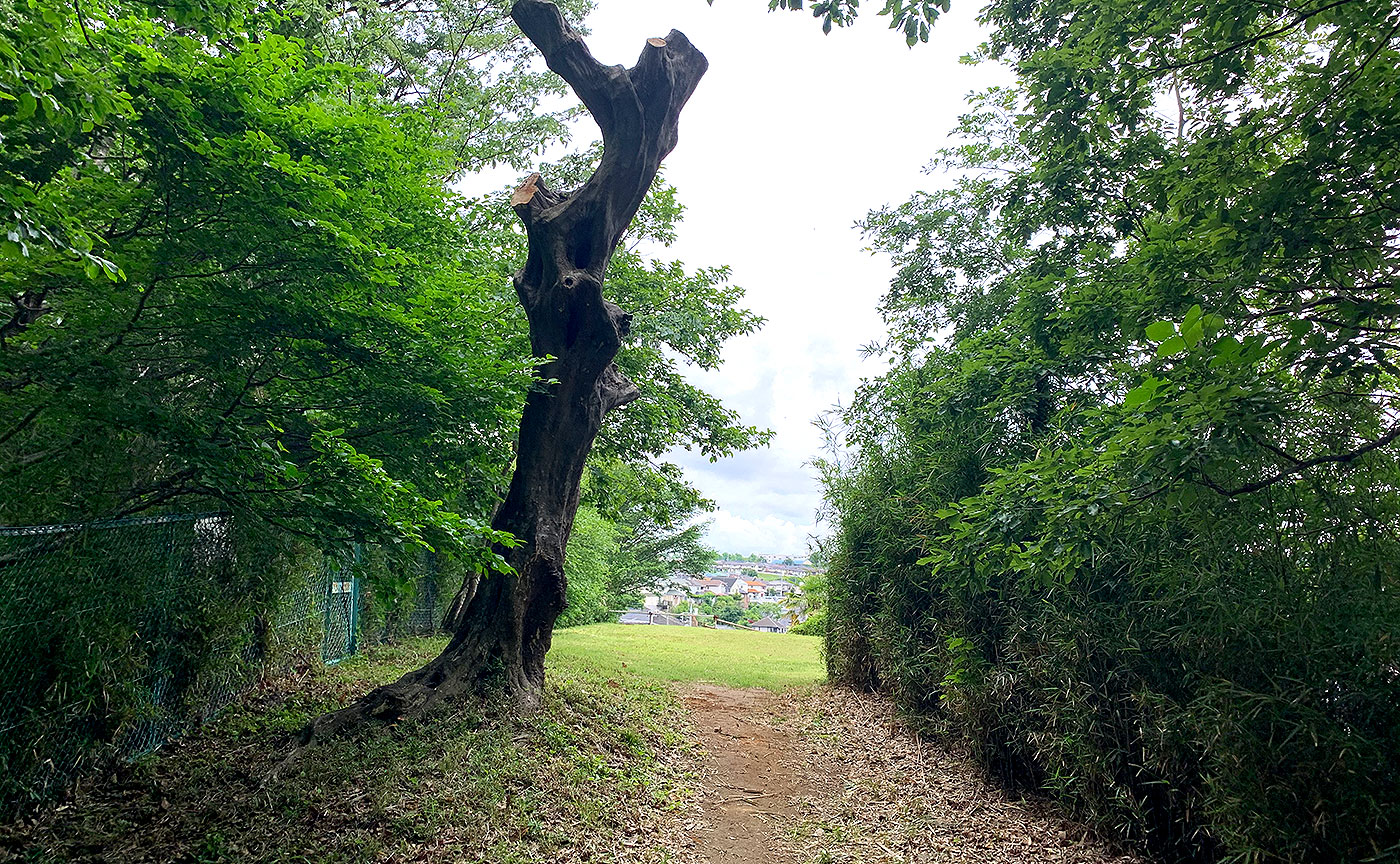 片倉かまぬき公園