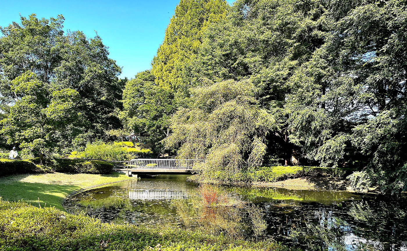 清水公園