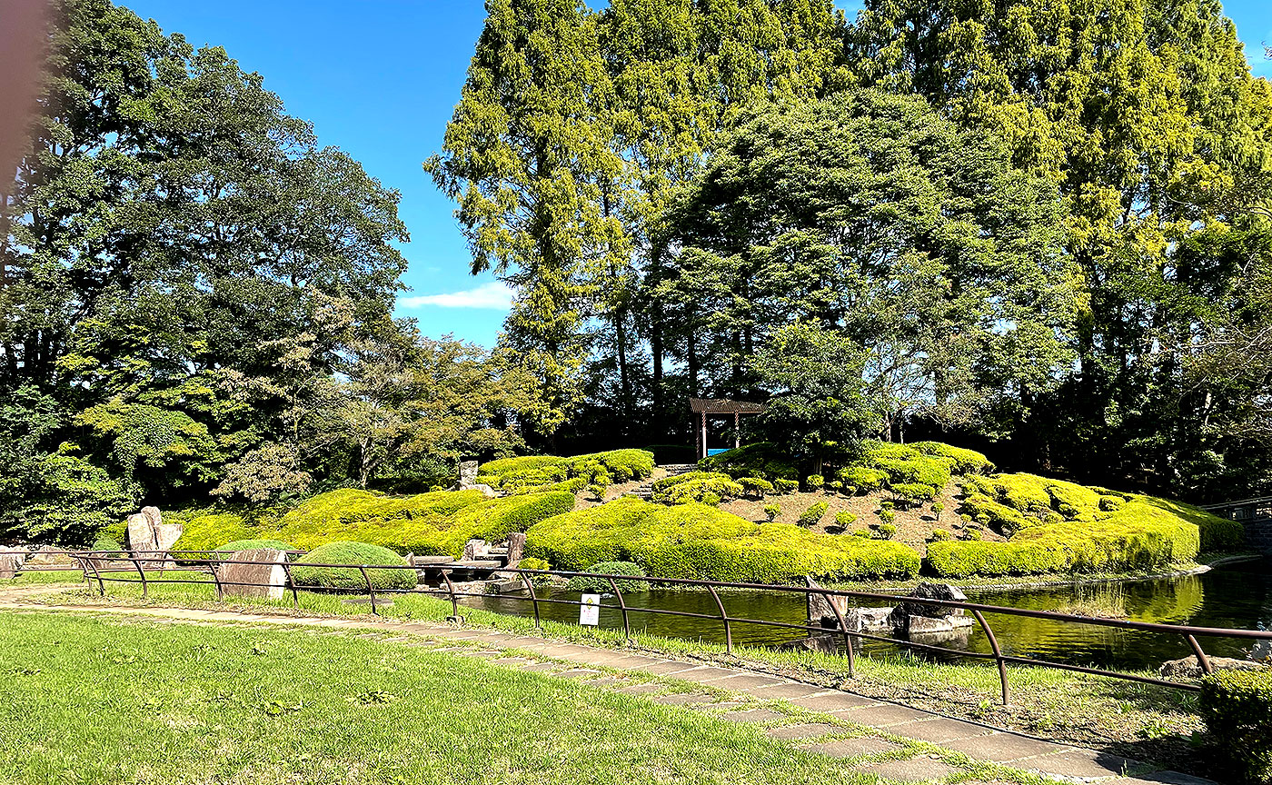 清水公園