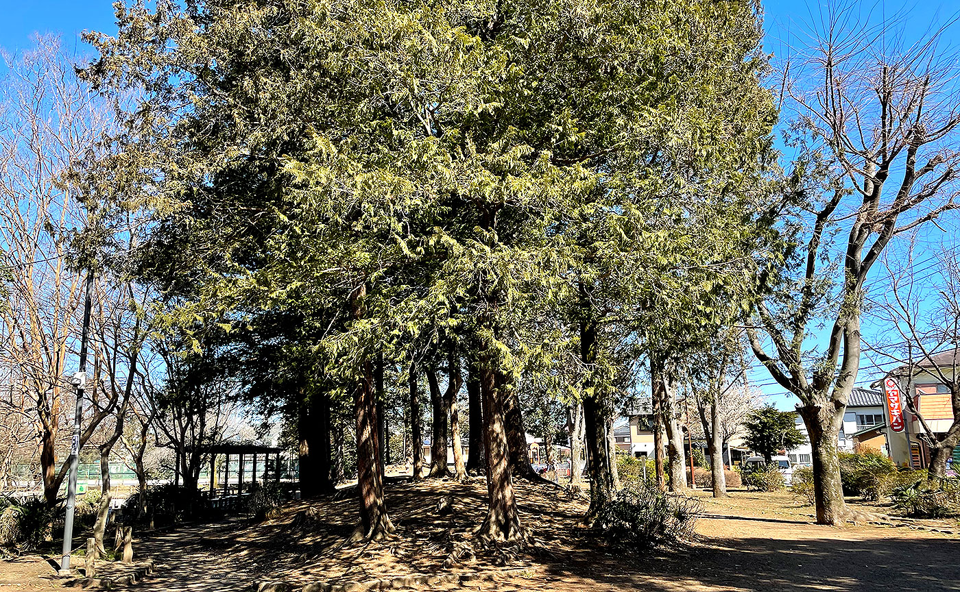 諏訪町公園