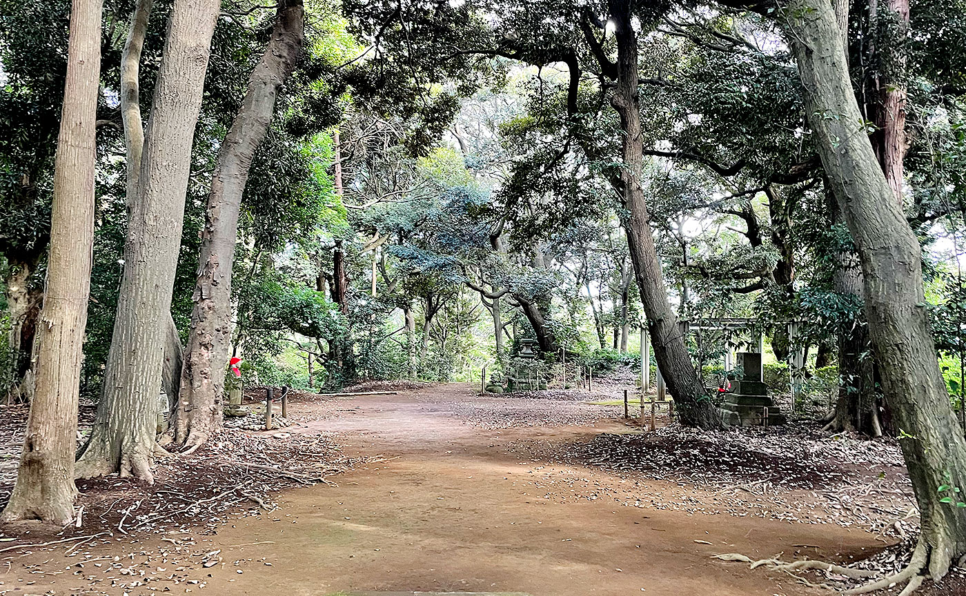 大塚山公園