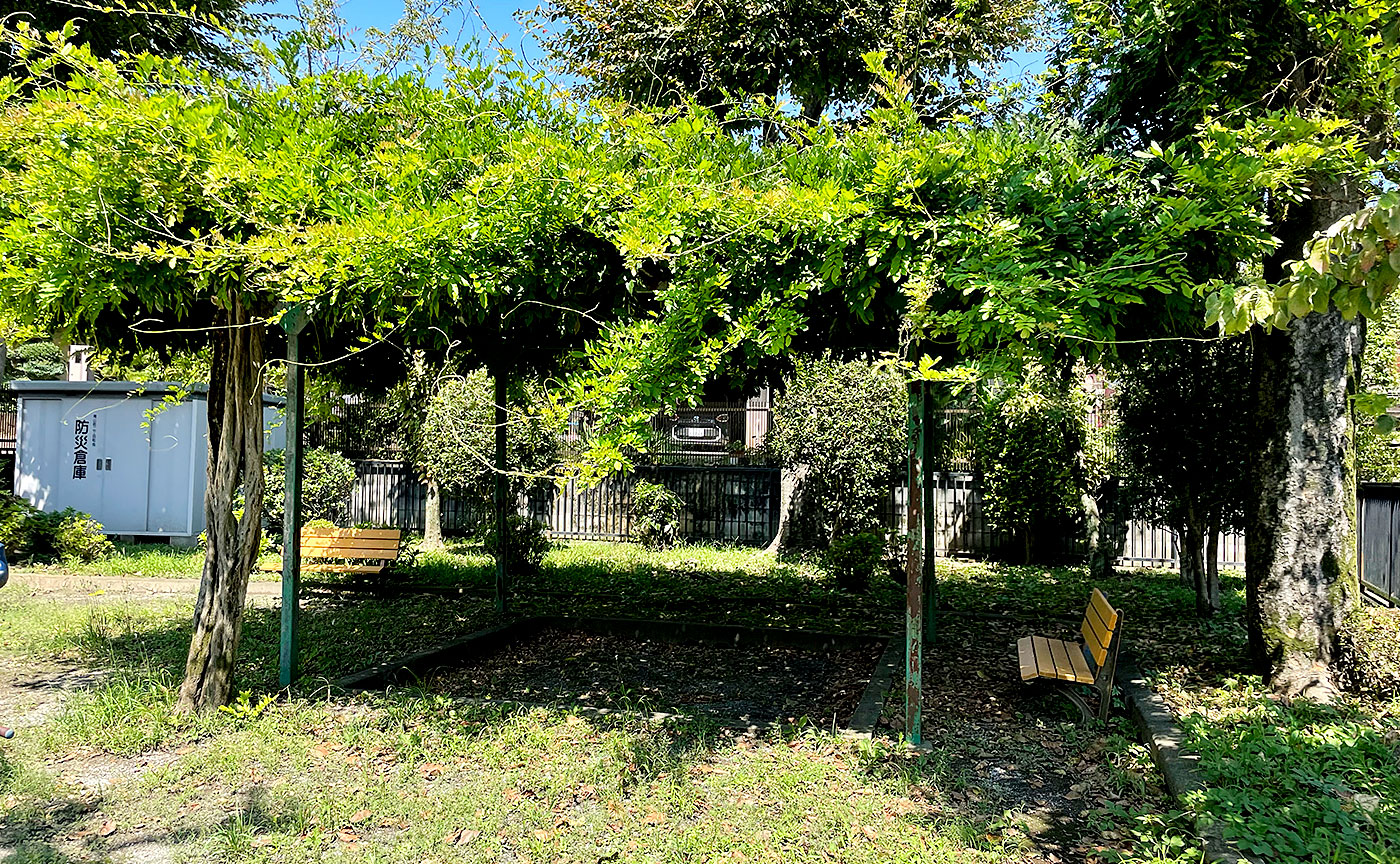 滝山すみれ公園