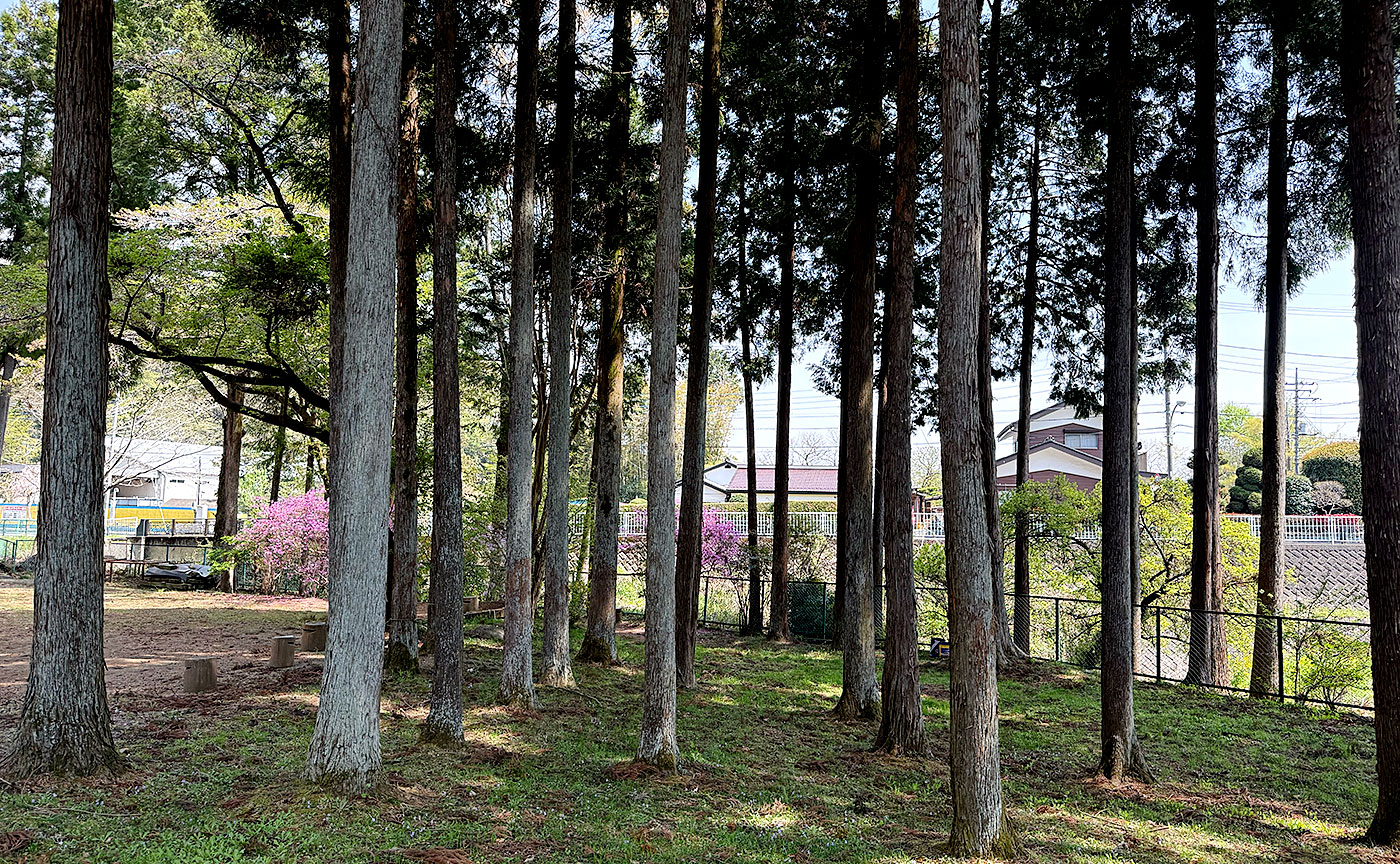 上川中部児童遊園