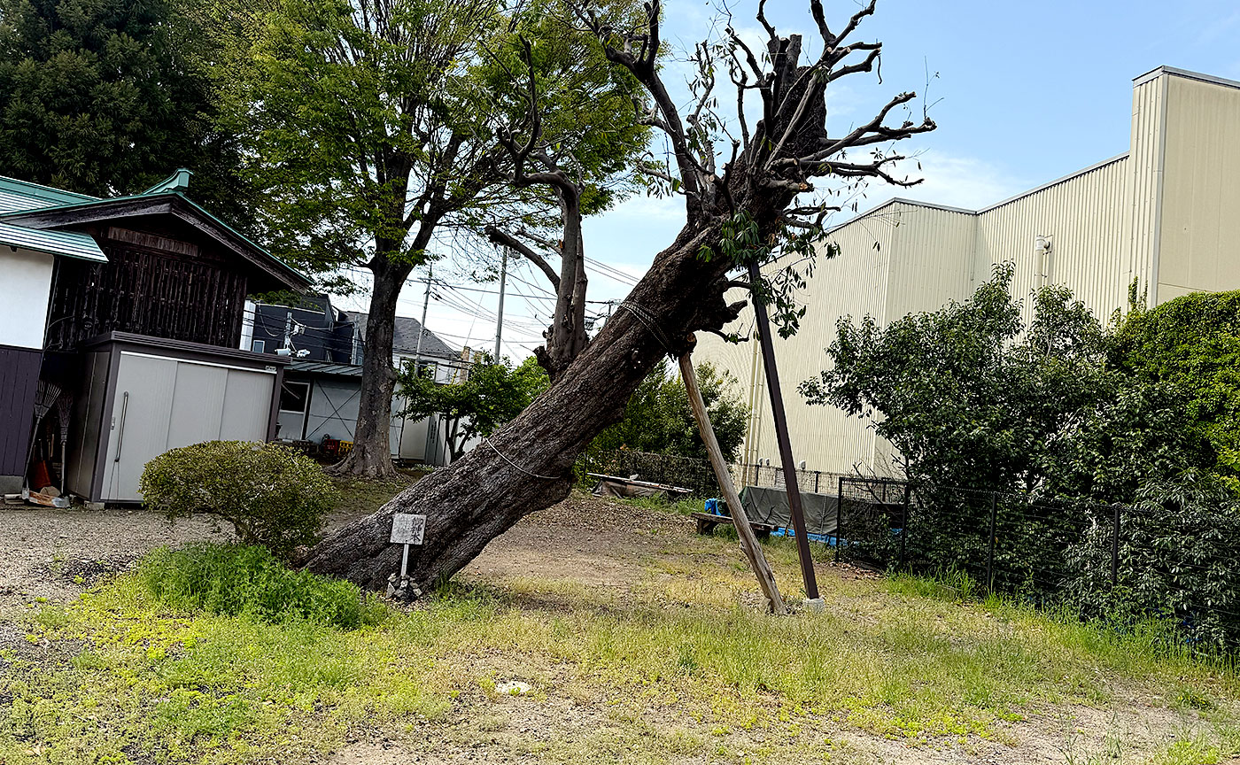 楢原さぬき公園