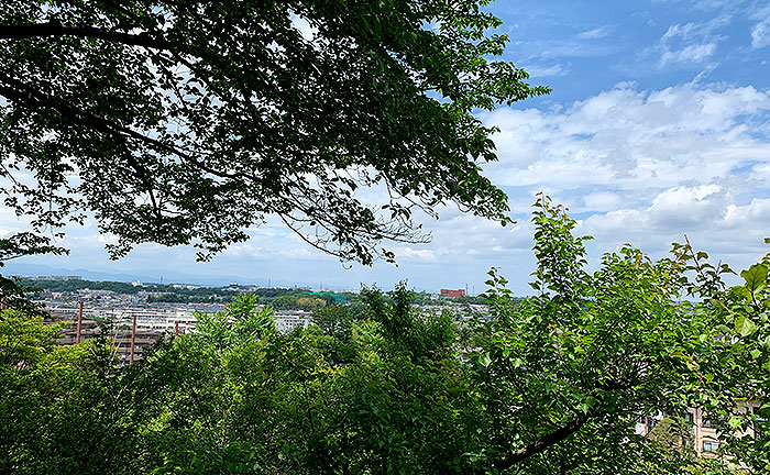 ふじみ公園