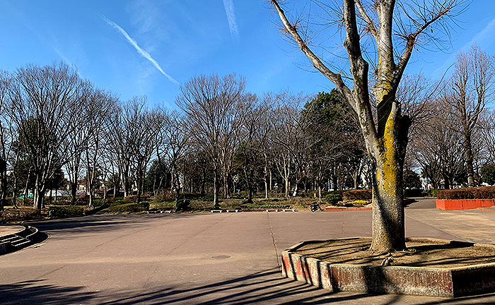 日野中央公園