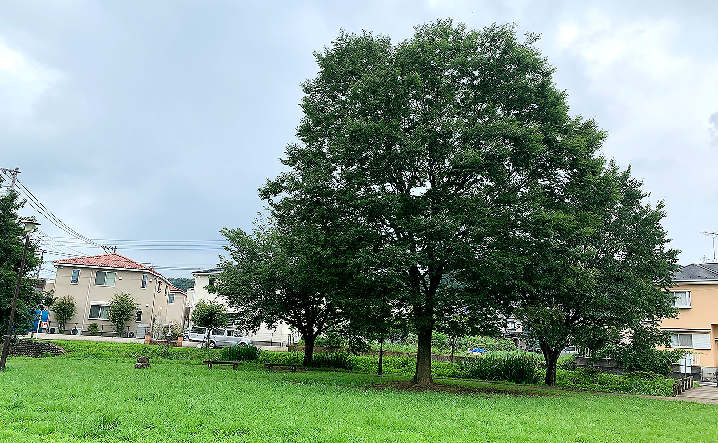 落川公園