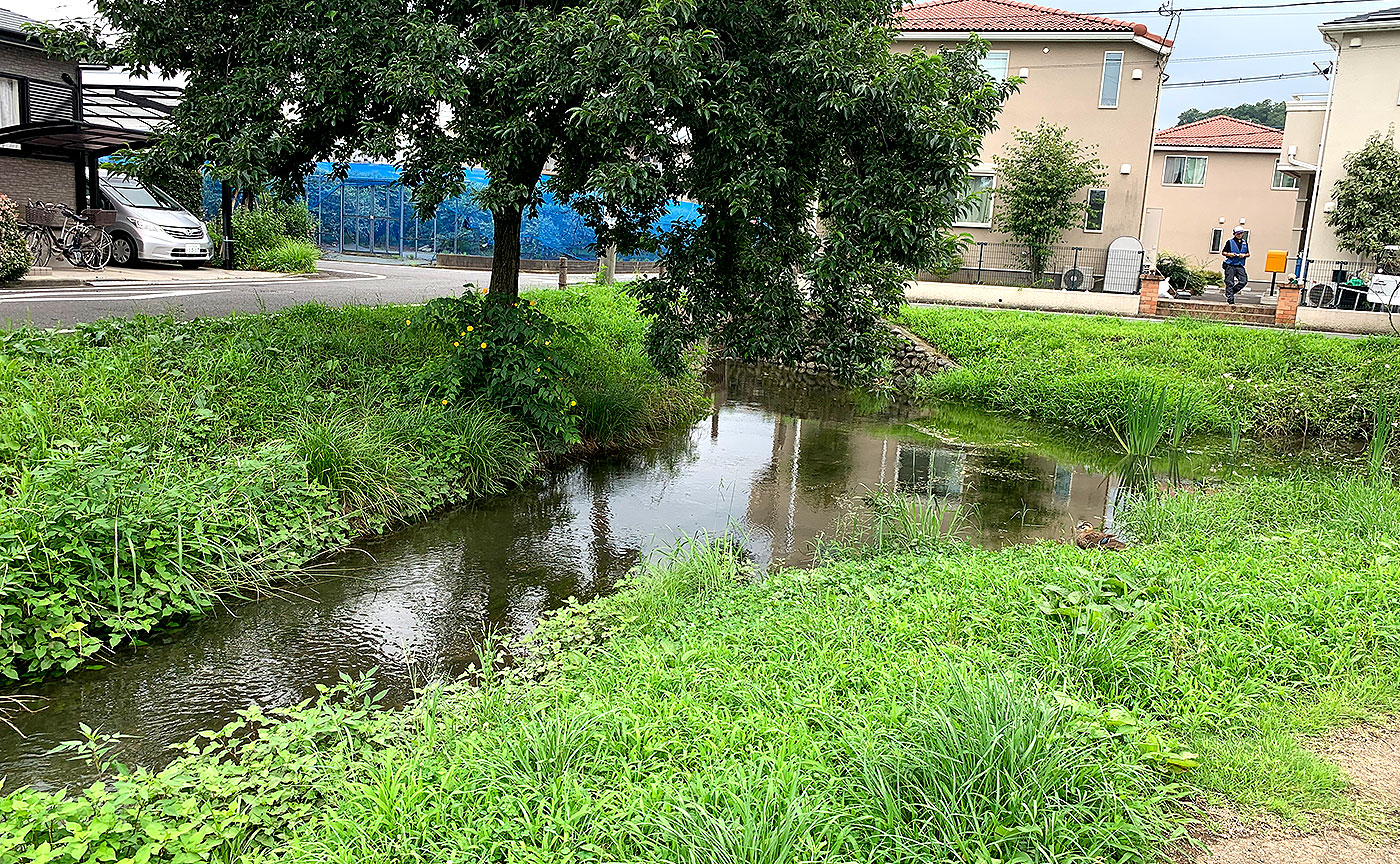 落川公園