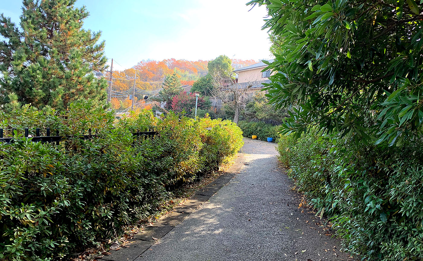 山の神公園