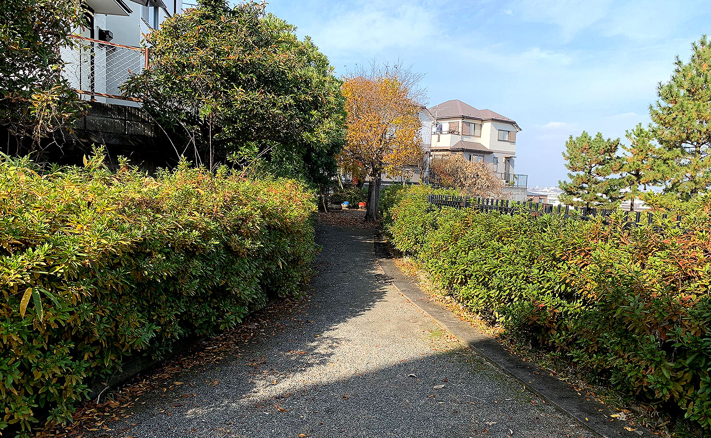 山の神公園