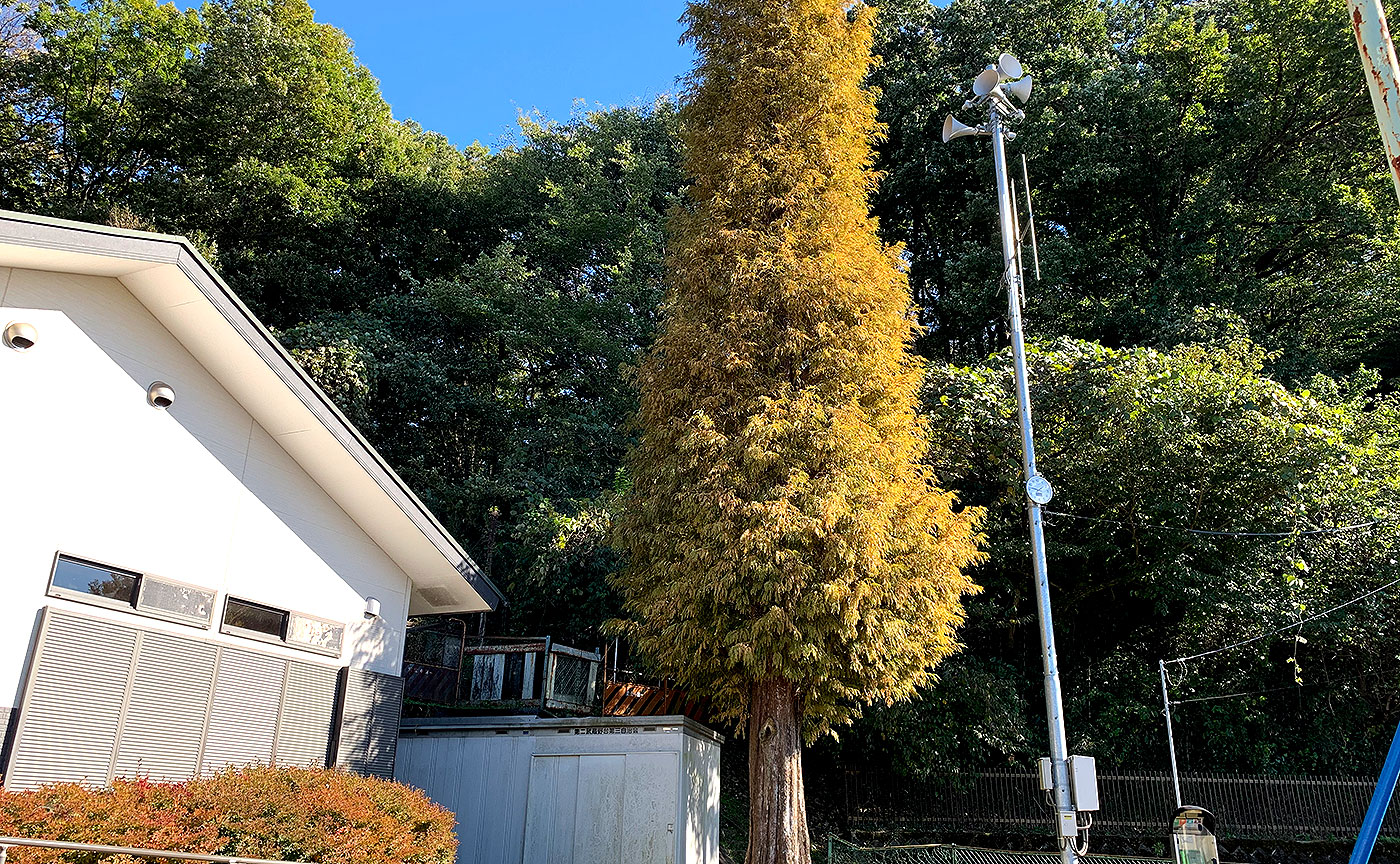 第2武蔵台児童遊園