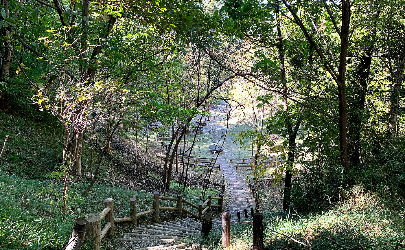 南平丘陵公園