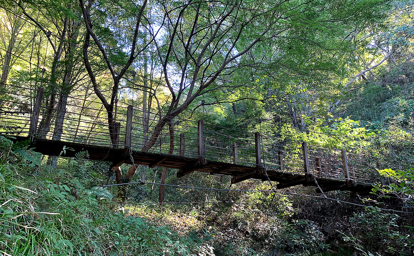 南平丘陵公園