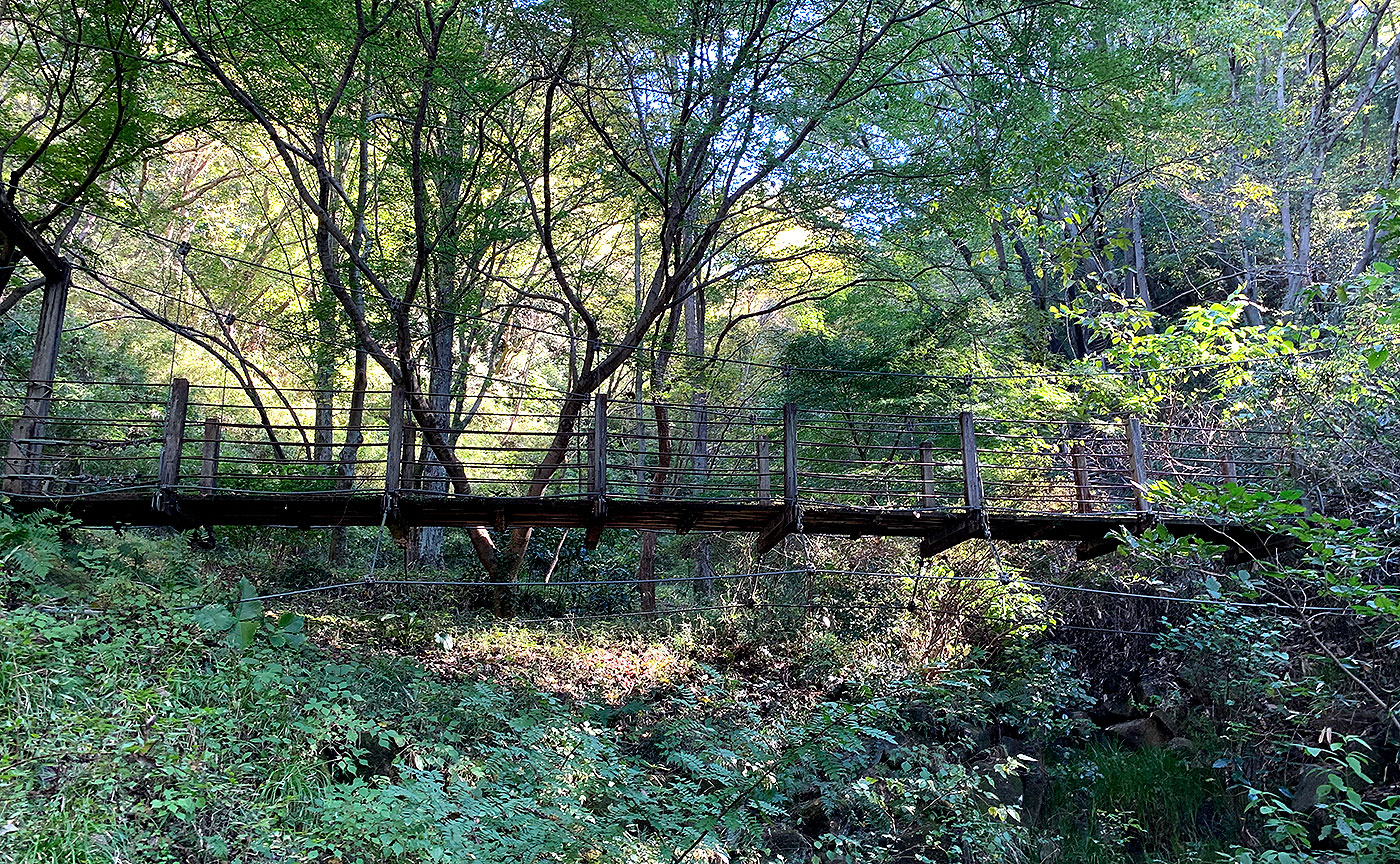 南平丘陵公園