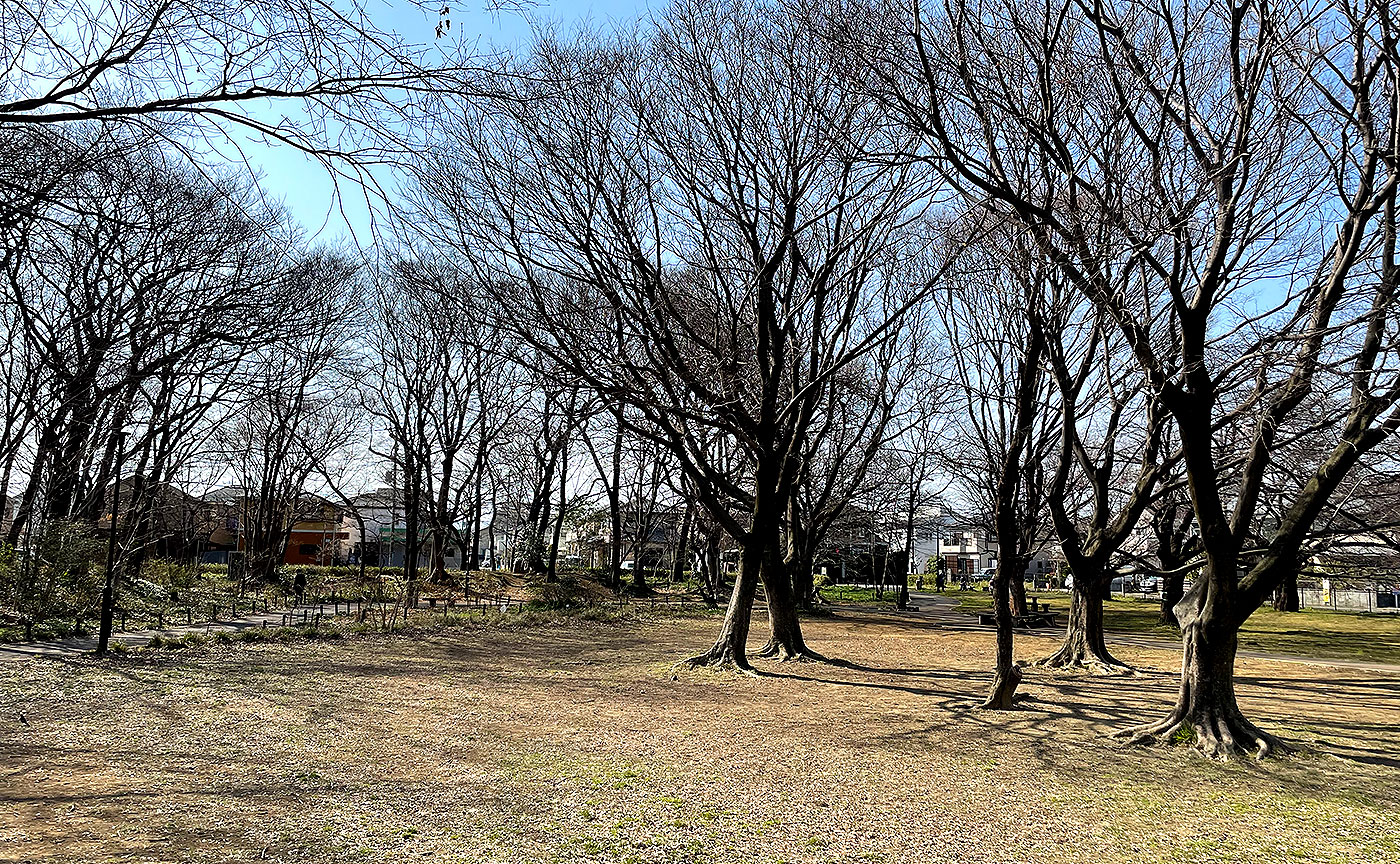 大木島自然公園