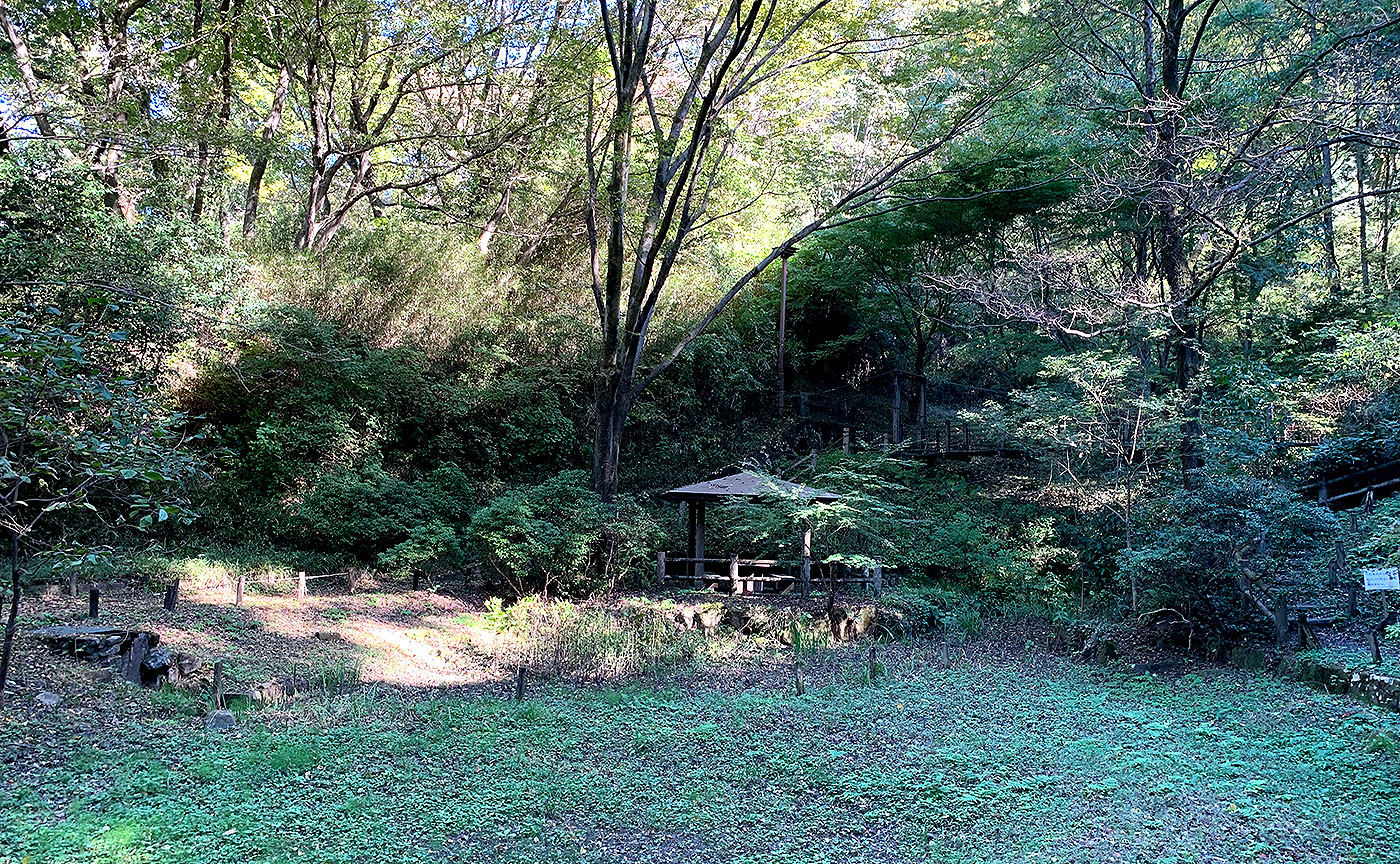 南平丘陵公園