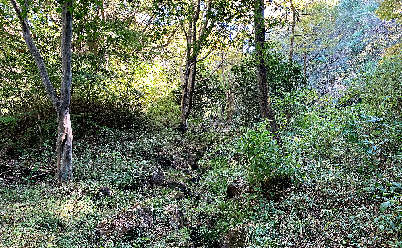 南平丘陵公園