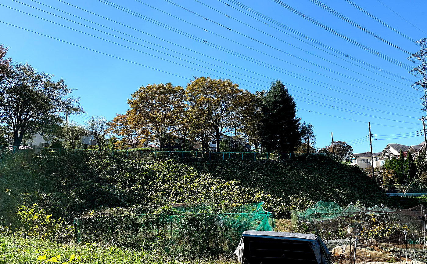 たちばな公園