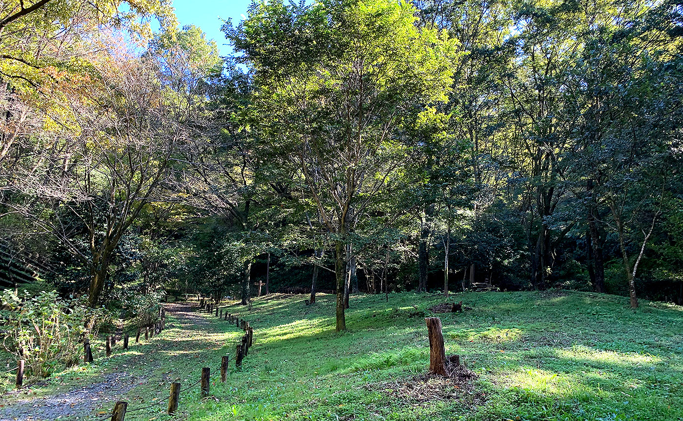 南平丘陵公園