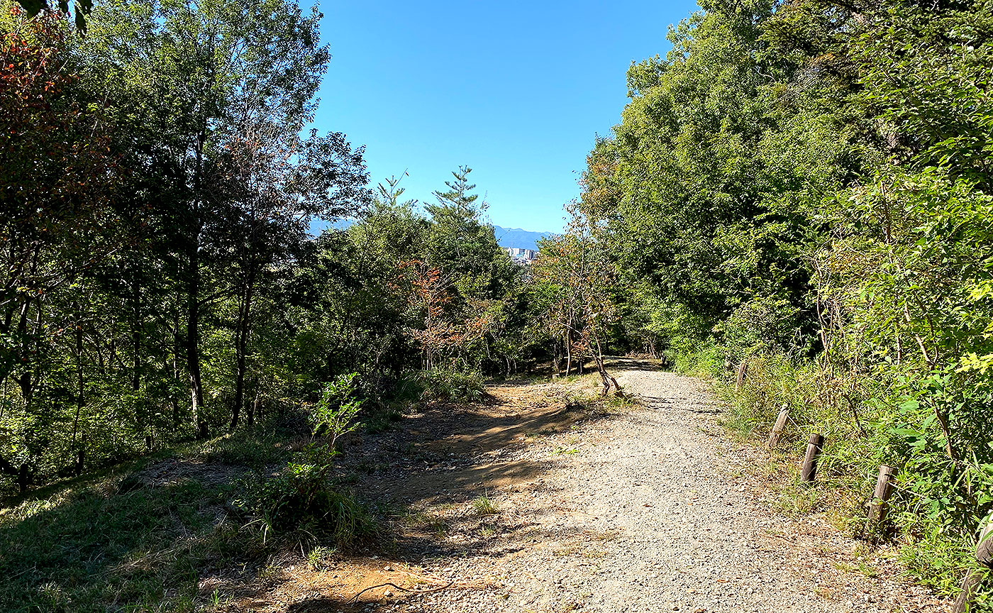 南平丘陵公園