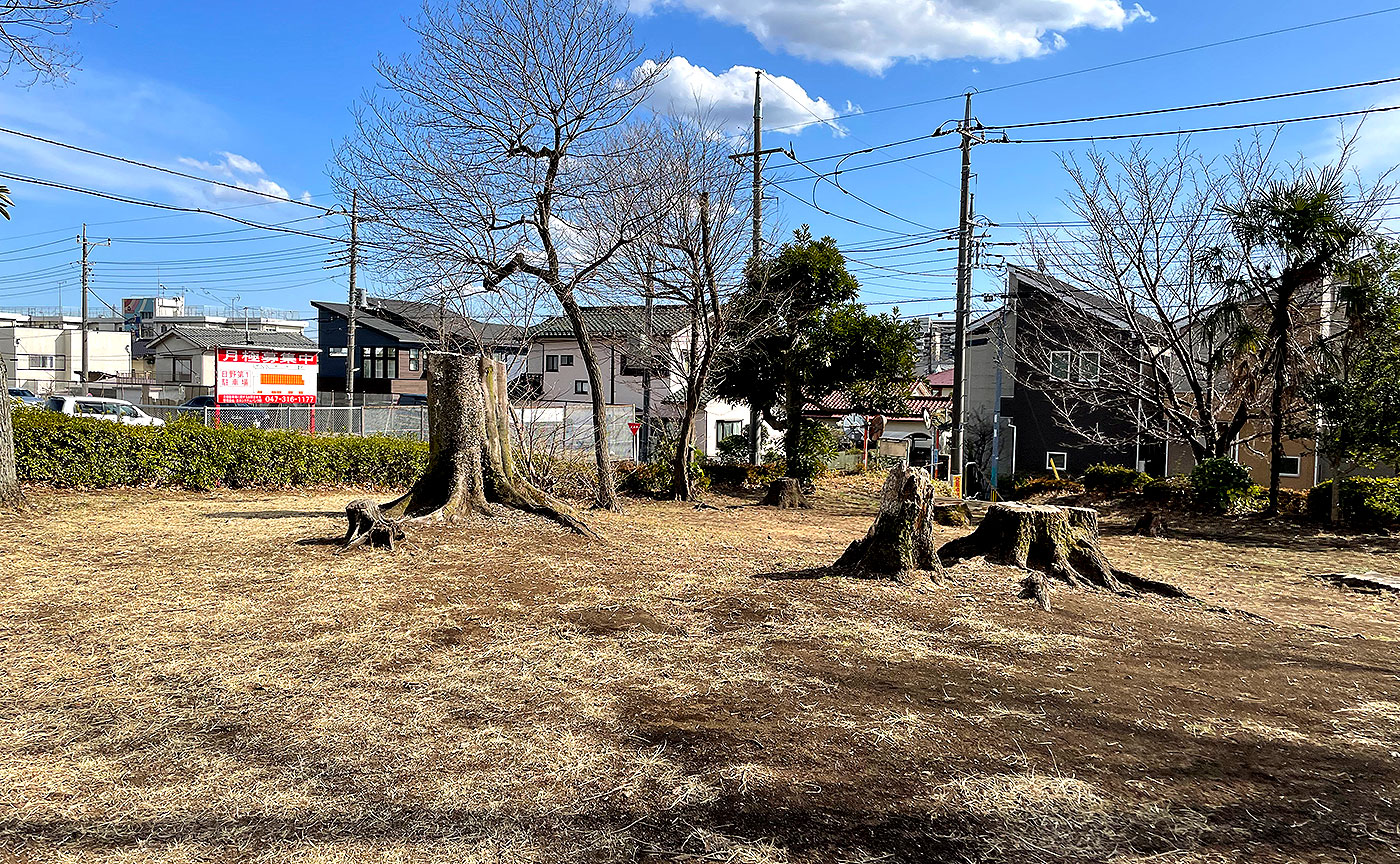 多摩平第3公園