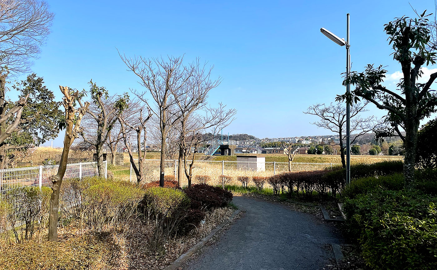 日枝神社西公園