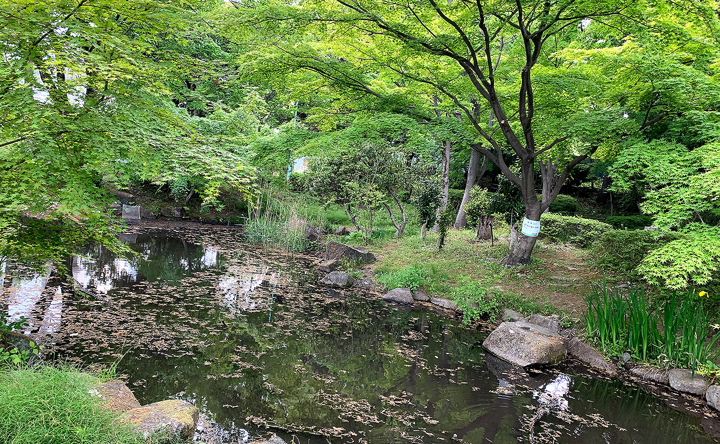 百草台自然公園