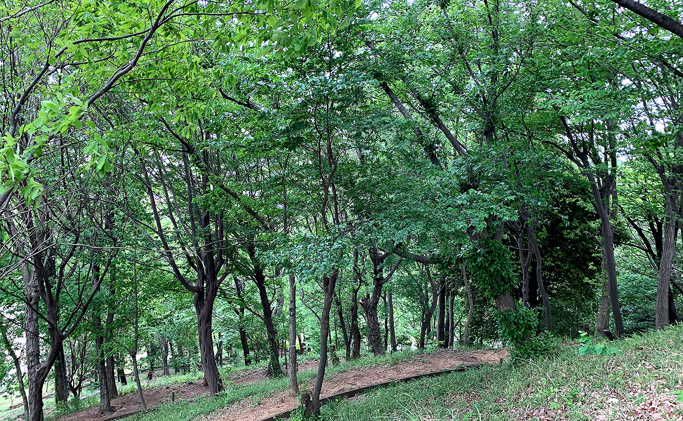 百草台自然公園