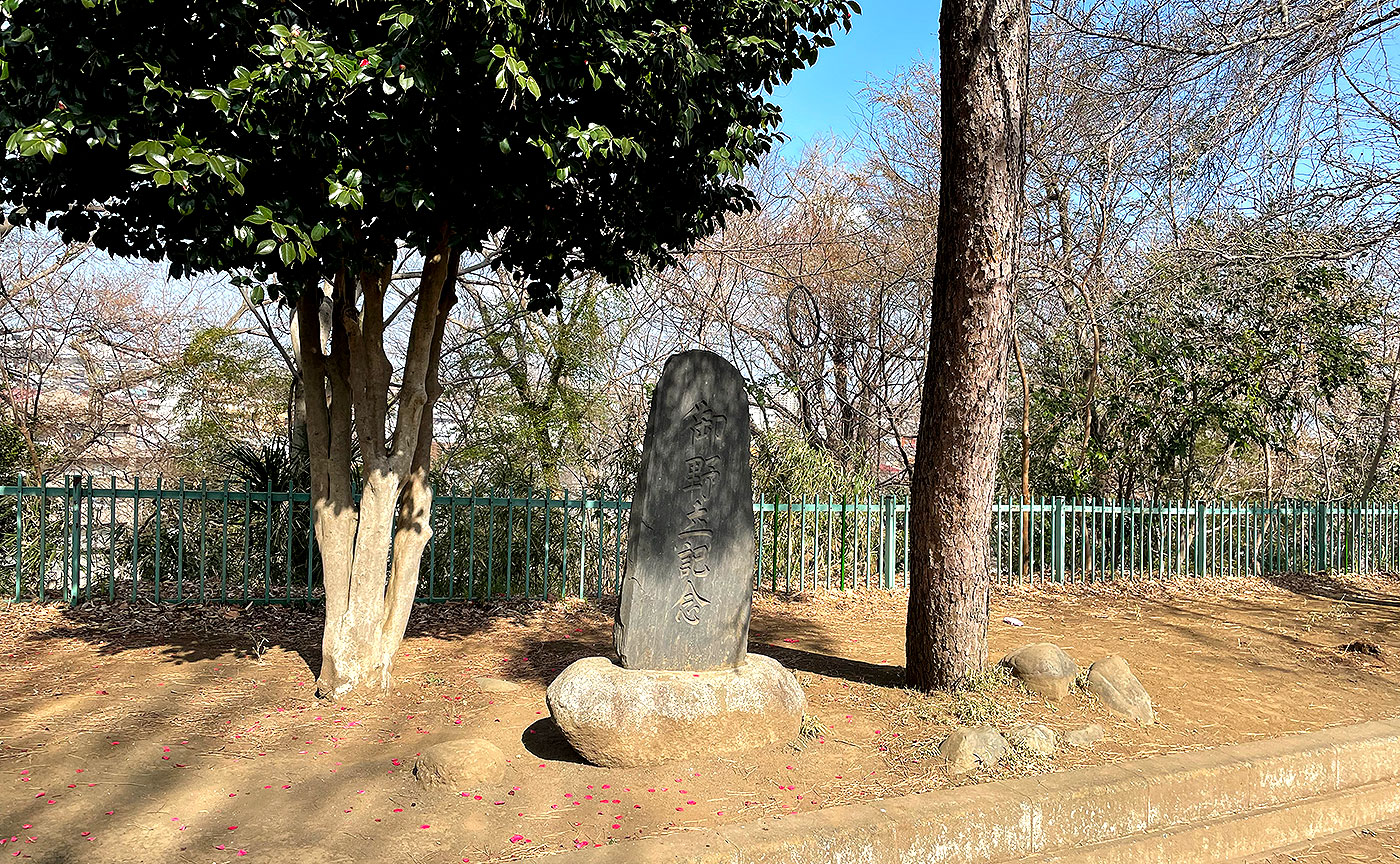 矢の山公園