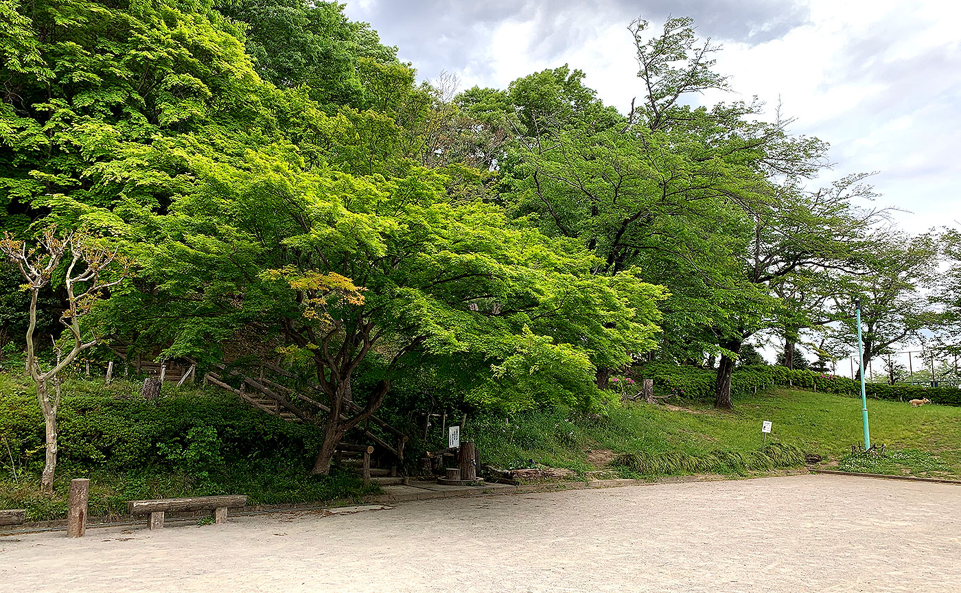 百草台自然公園