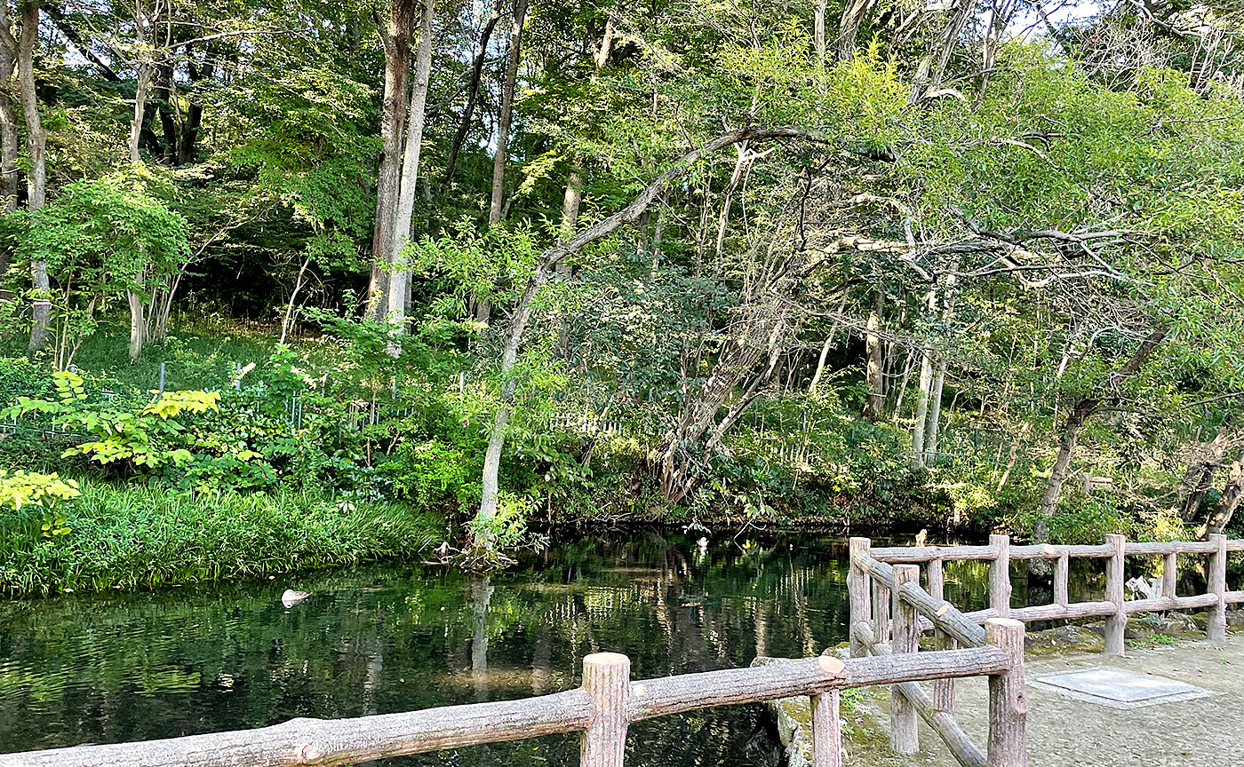 黒川清流公園