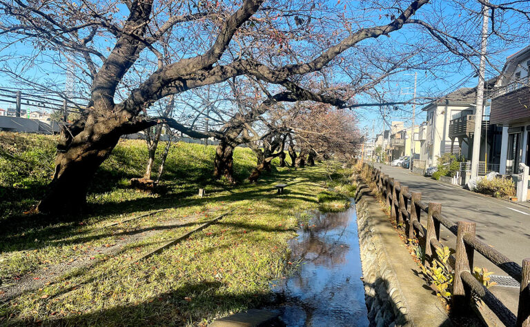 日野市公園探訪