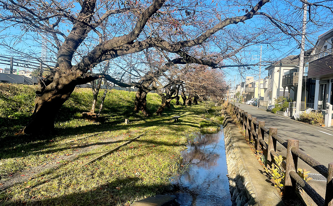 大福寺下公園