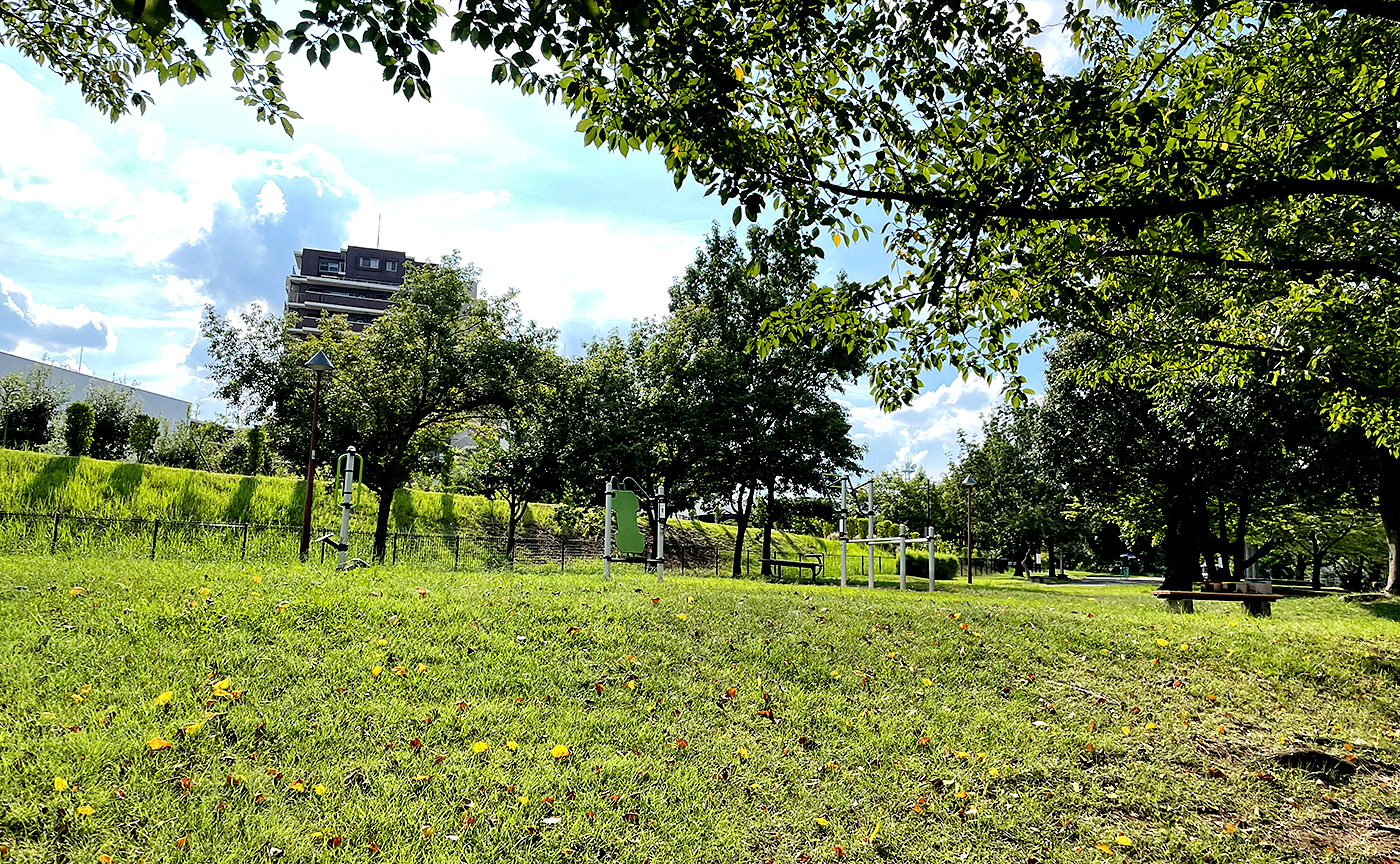 若葉台公園