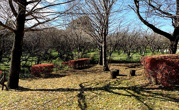 平尾夫婦坂児童公園