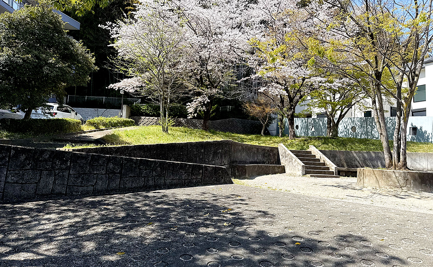 大丸谷山公園