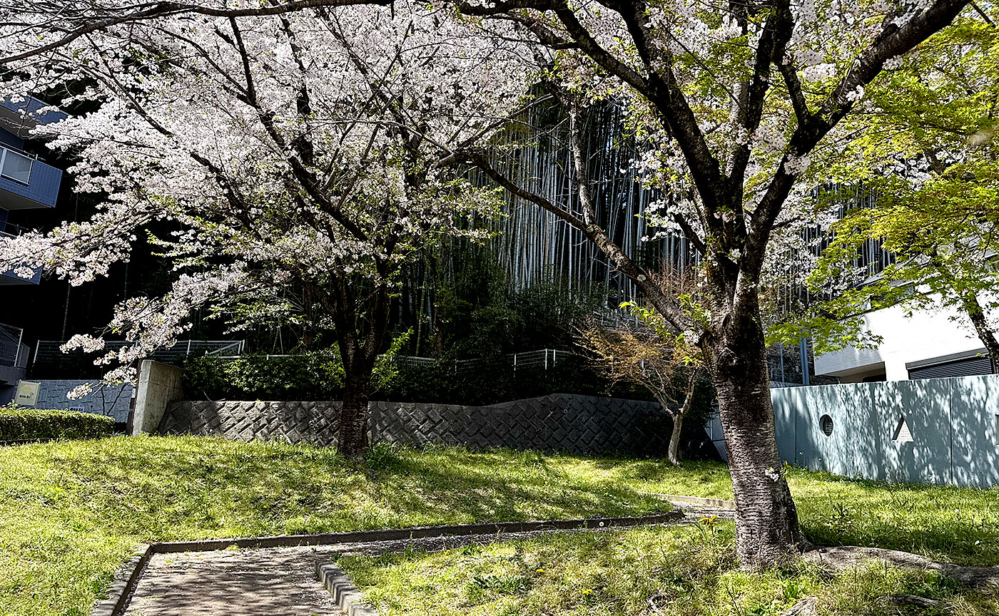 大丸谷山公園
