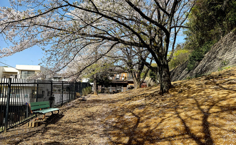 稲城市公園探訪