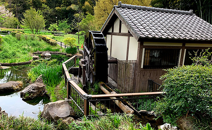 上谷戸親水公園