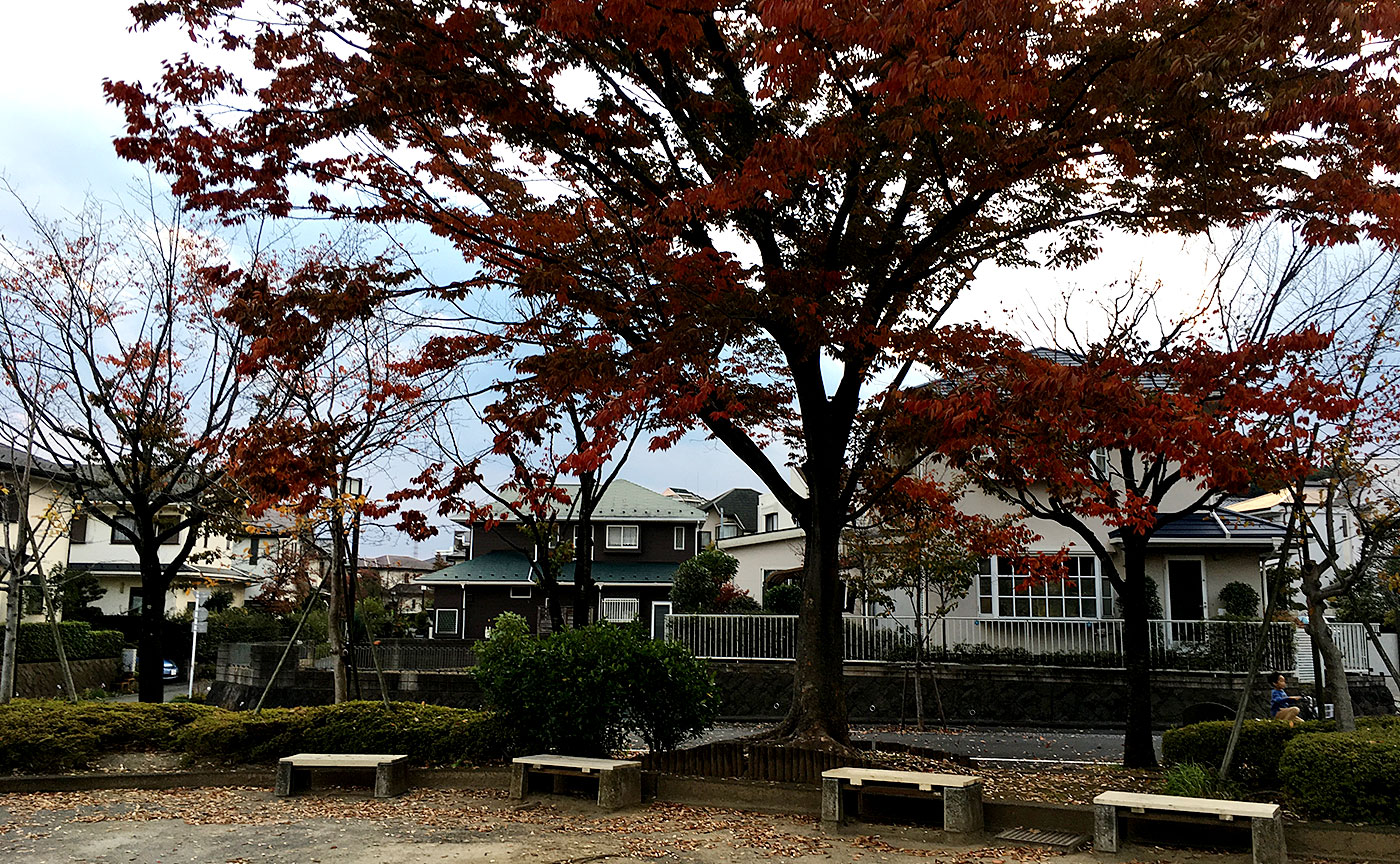 うまさん公園