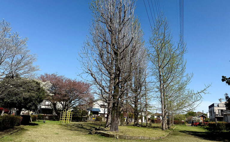 稲城市公園探訪