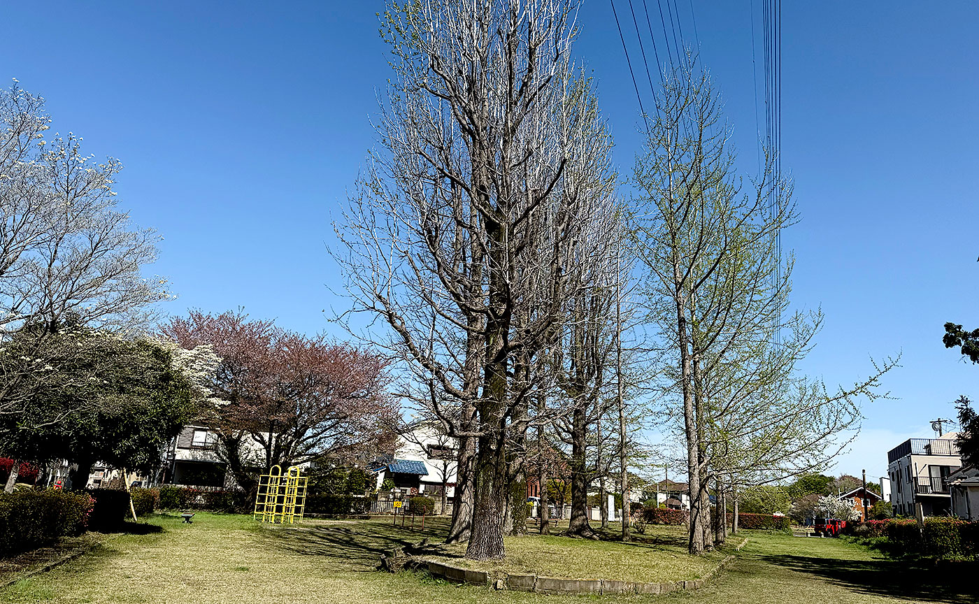 入定塚児童公園