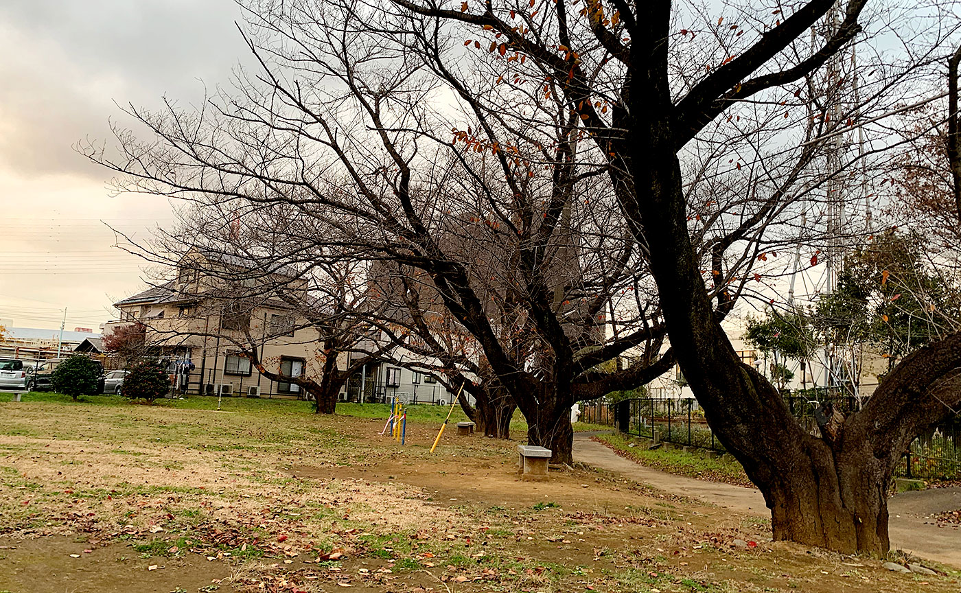 大丸河原方児童公園