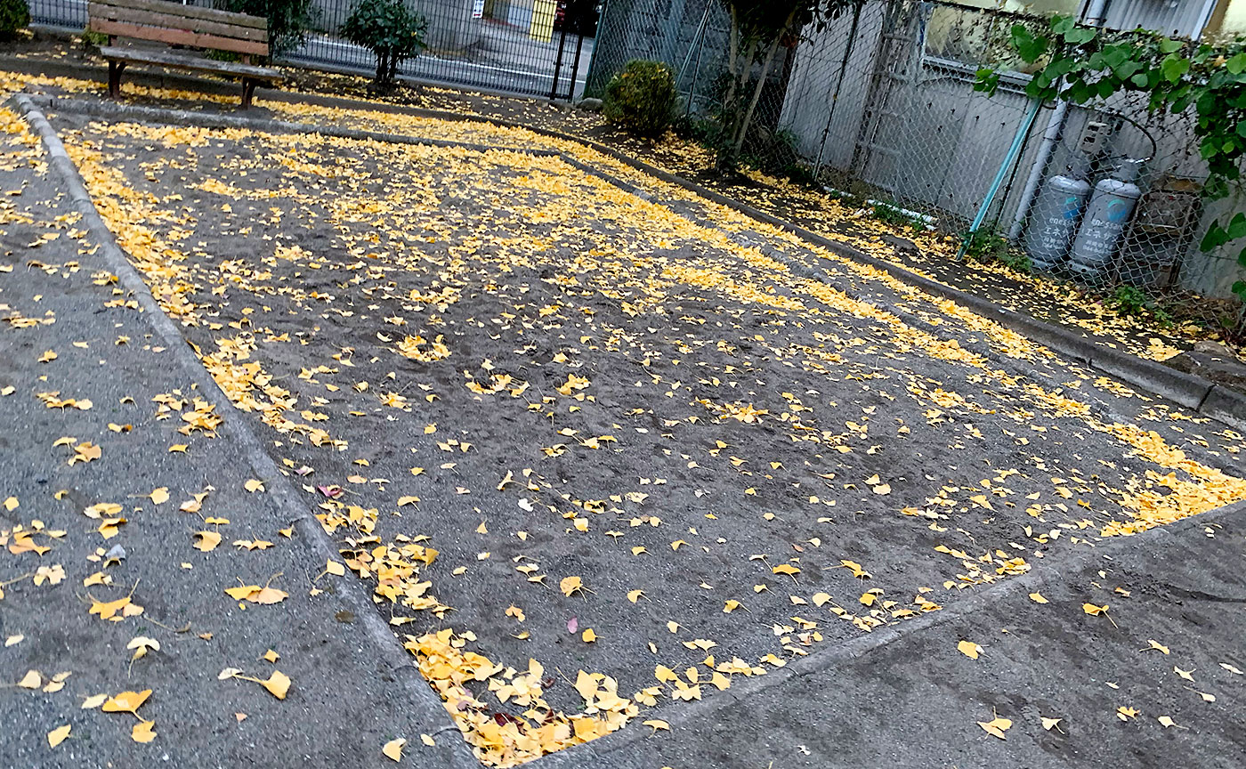 大丸弁天児童公園