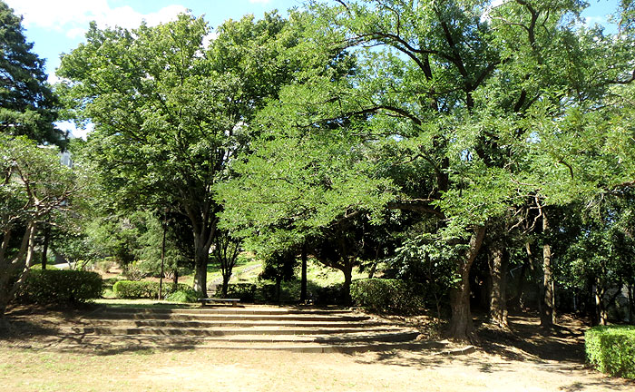 つきみ野1号公園