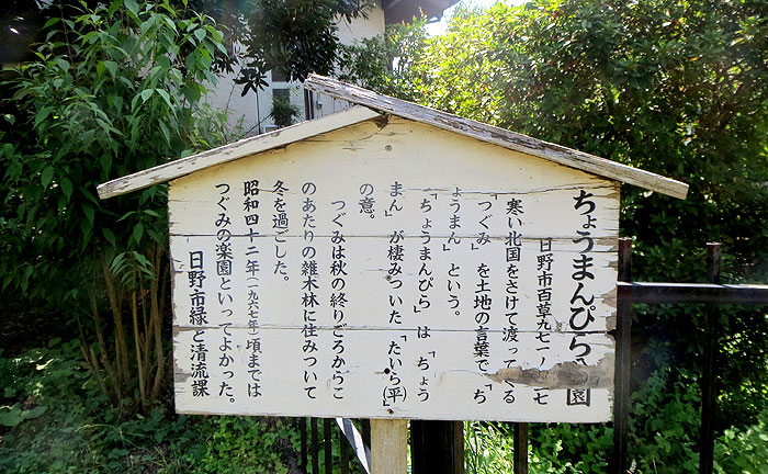 ちょうまんぴら公園