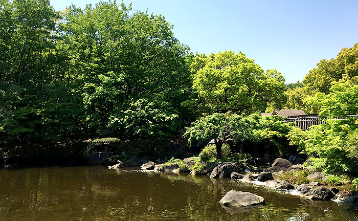 府中の森公園